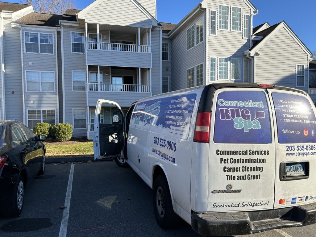 Carpet Cleaning in Hamden CT