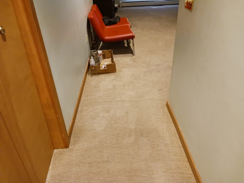 Carpet Cleaning in East Haven CT