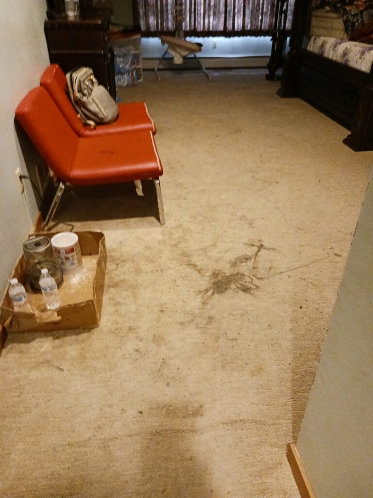 Carpet Cleaning in East Haven CT