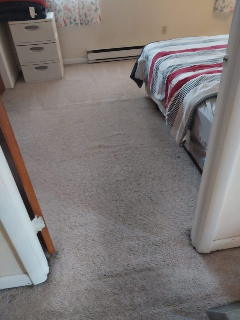 Professional Carpet Cleaning in Connecticut | CT Rug Spa