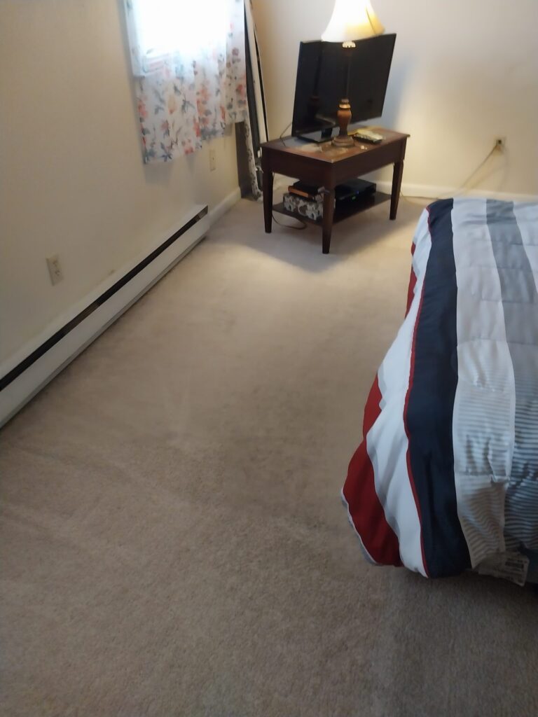 Professional Carpet Cleaning in Connecticut | CT Rug Spa