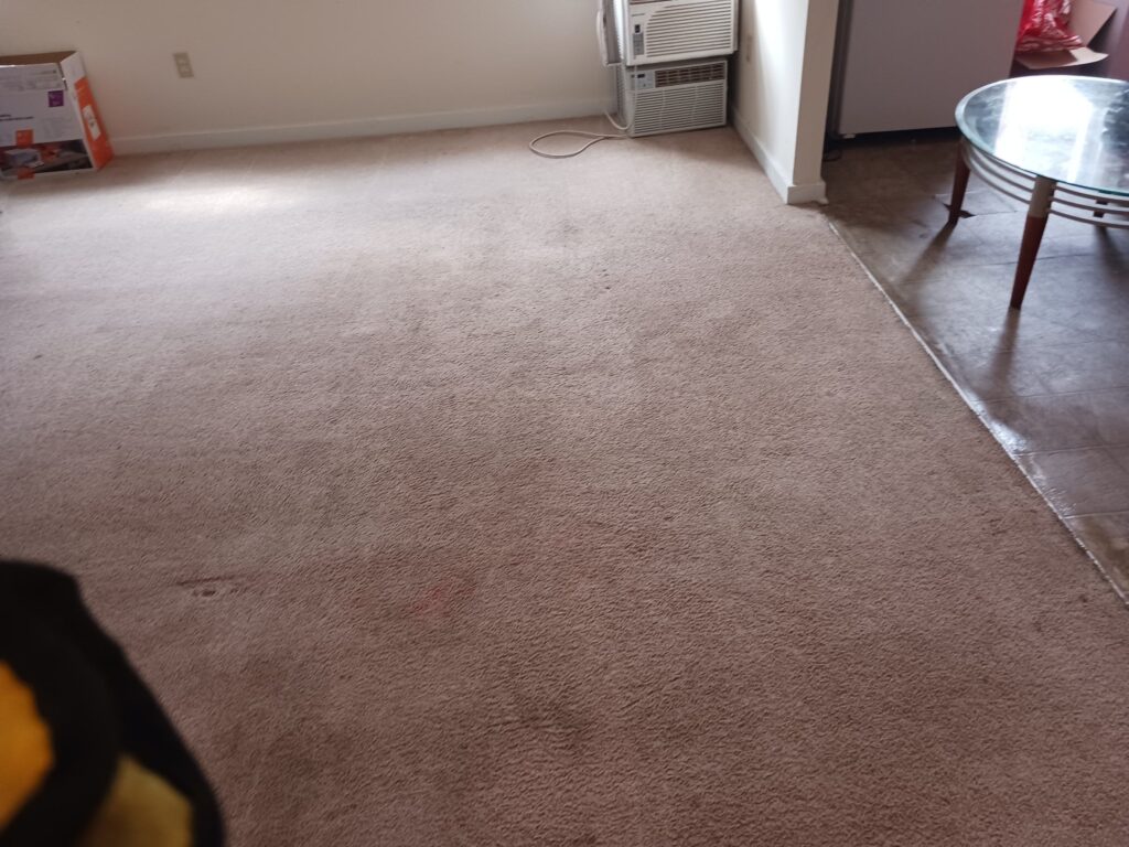 Carpet Cleaning in Bridgeport Ct