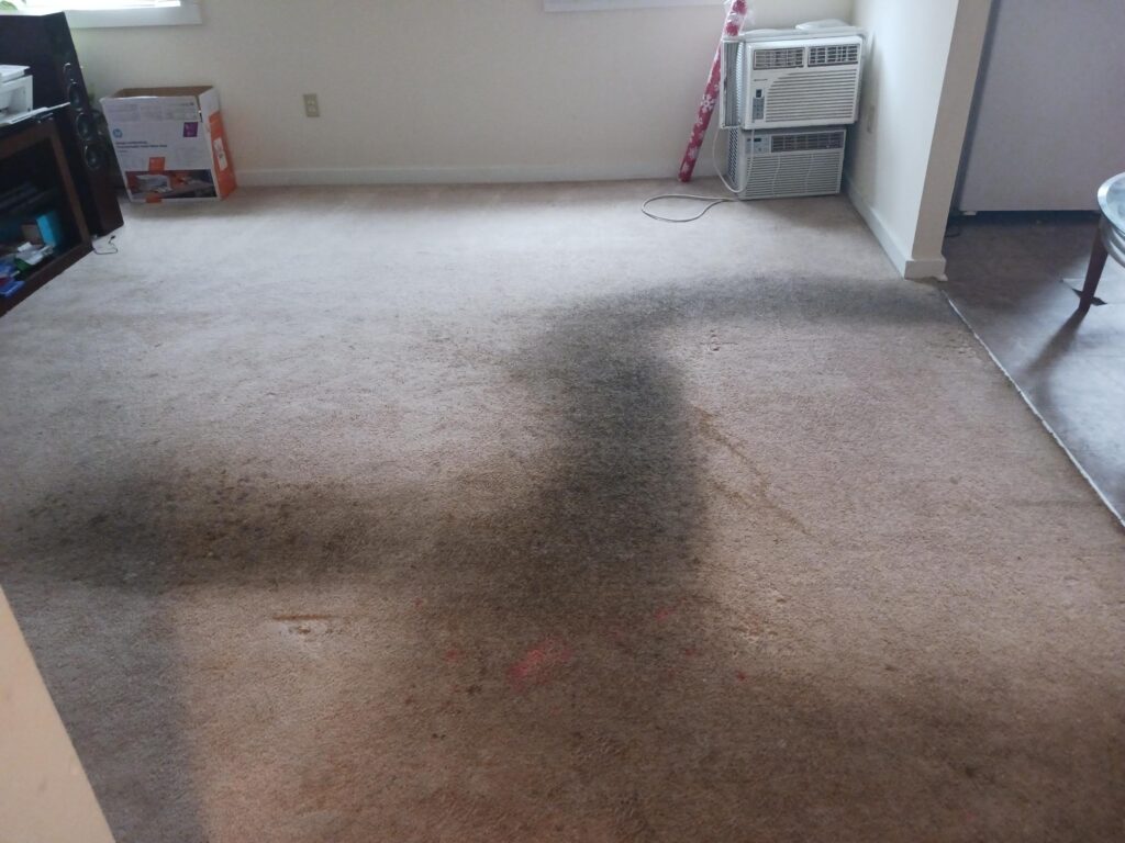 carpet cleaning in Norwalk CT