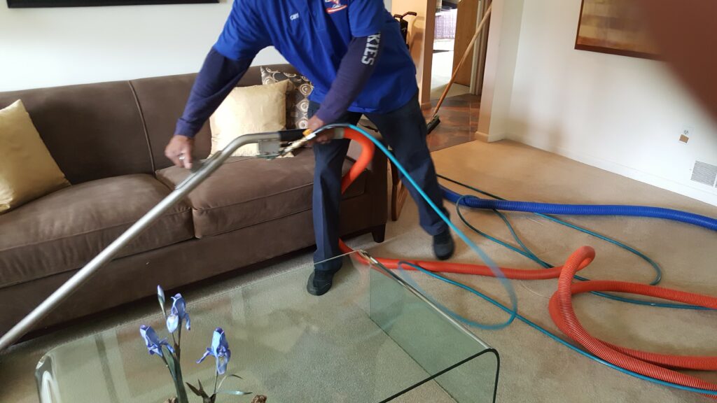 Professional carpet cleaning by CT Rug Spa