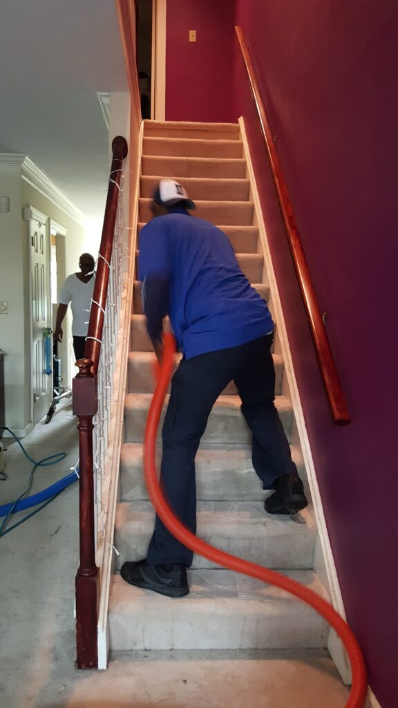 Carpet Cleaning in Branford CT