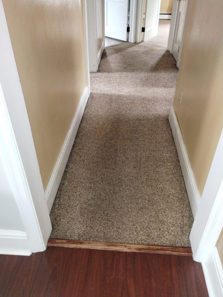 Clean hallway after professional carpet cleaning