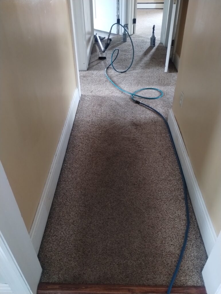 carpet Cleaning in Stamford CT